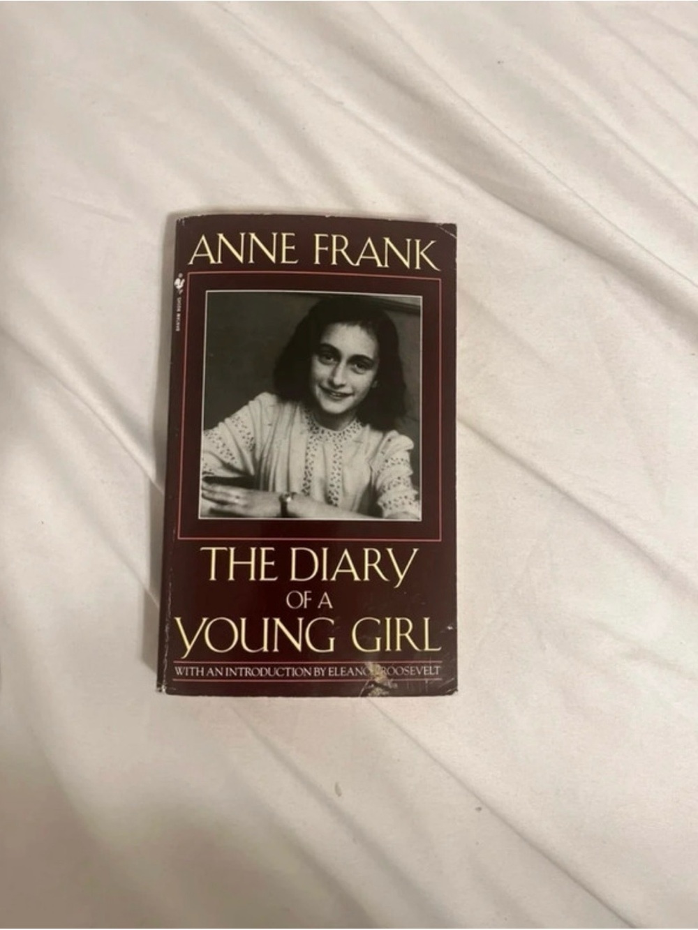Anne Frank the diary of a young girl